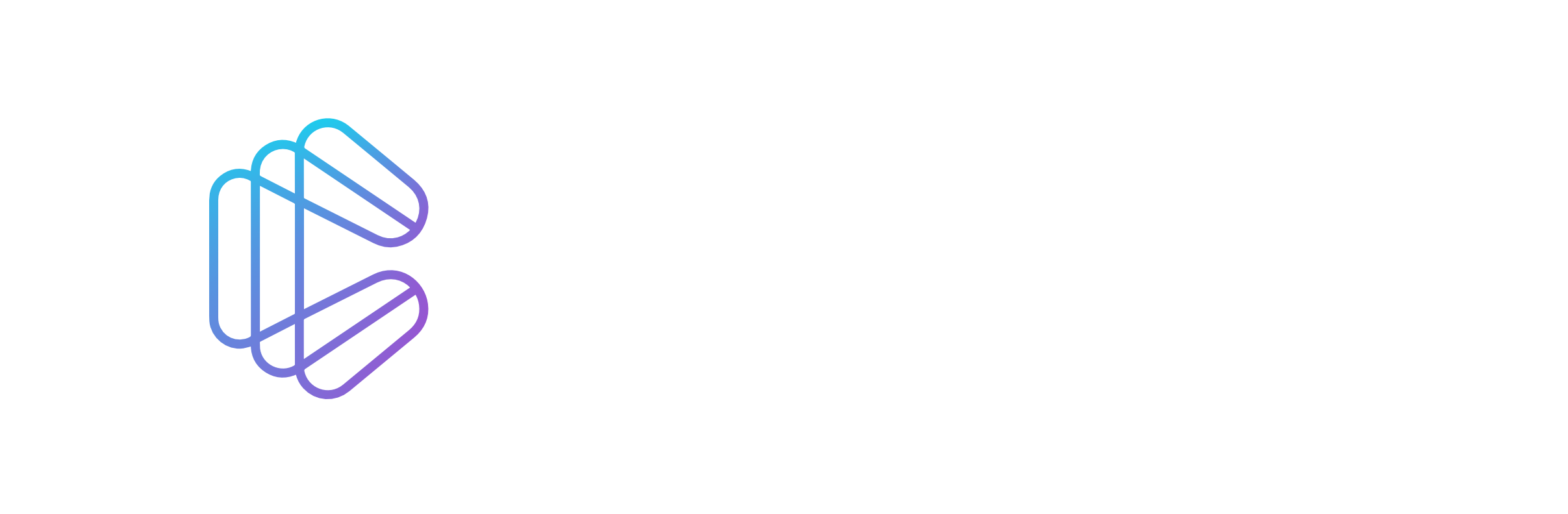 Citadel logo